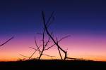 original Sonnenuntergang im Etosha Park