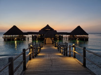 original 20230225 185824