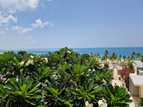 original 20230225 125824